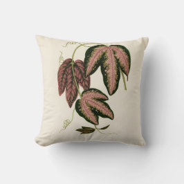 Tri-farbener Passion Vine (Passiflora Trifasciata) Kissen