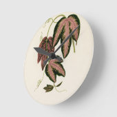 Tri-farbener Passion Vine (Passiflora Trifasciata) Runde Wanduhr (Winkel)