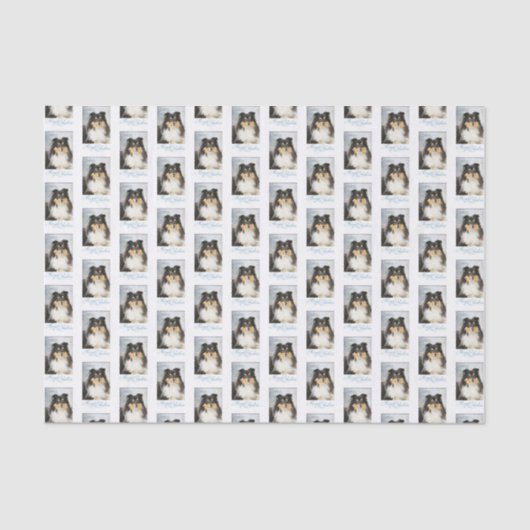 Tri FarbeSheltie Weihnachtsseidenpapier Seidenpapier (Vorderseite)