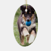 Tri farbiger australischer Schäfer-Welpe Keramik Ornament (Rechts)