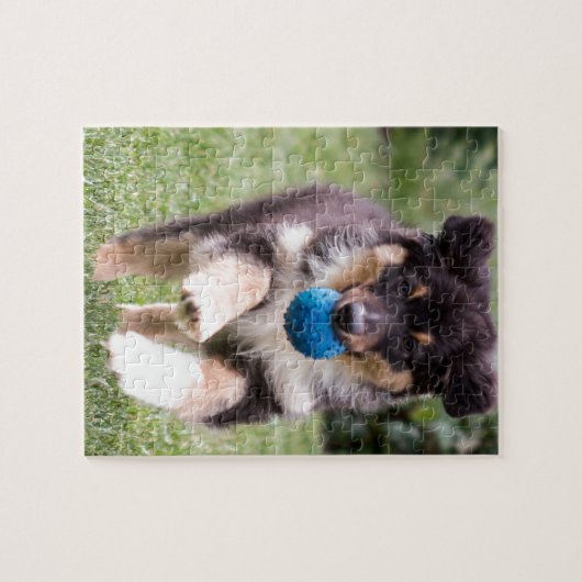 Tri farbiger australischer Schäfer-Welpe Puzzle (Horizontal)