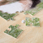 Tri farbiger australischer Schäfer-Welpe Puzzle (Seite)