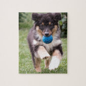 Tri farbiger australischer Schäfer-Welpe Puzzle (Vertikal)