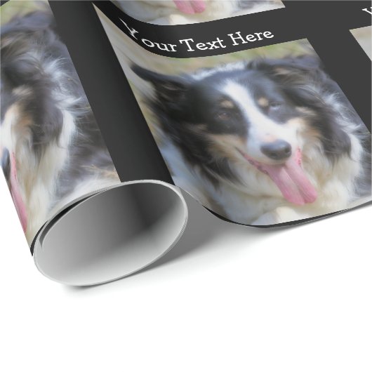 Tri farbiger Border-Collie-Hund Geschenkpapier (Rolleneckpunkt)