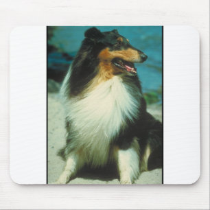 Tri Farbiger Collie-rauer Mantel Mousepad
