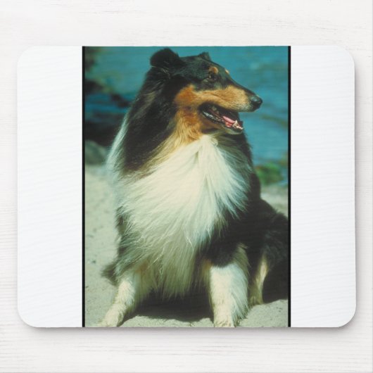 Tri Farbiger Collie-rauer Mantel Mousepad (Vorne)