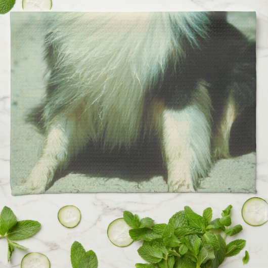 Tri Farbiges Collie-HundeGeschirrtuch Küchentuch (Gefaltet)