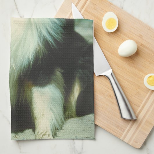 Tri Farbiges Collie-HundeGeschirrtuch Küchentuch (Viertel Falte)