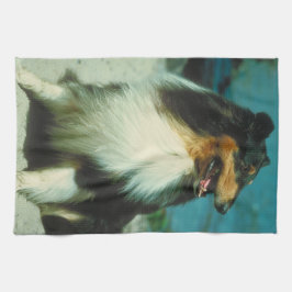 Tri Farbiges Collie-HundeGeschirrtuch Küchentuch