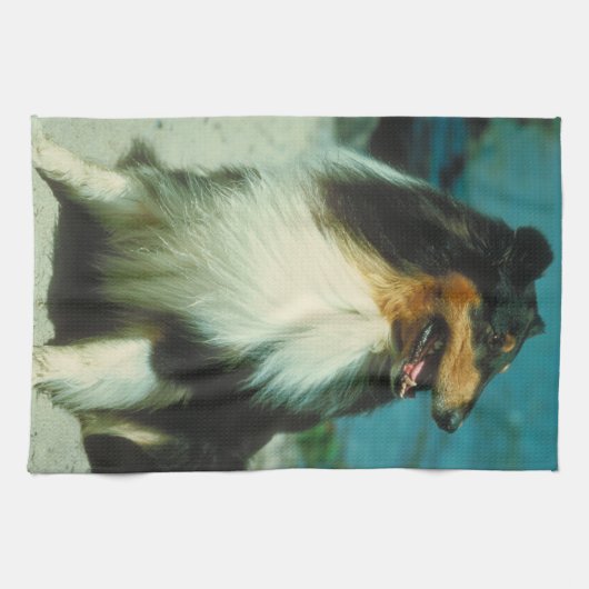 Tri Farbiges Collie-HundeGeschirrtuch Küchentuch (Horizontal)