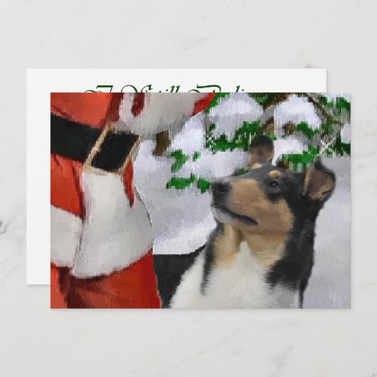 Tri Smooth Collie und Weihnachtskarte (Vorne/Hinten)