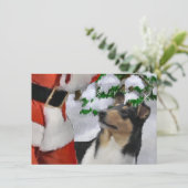 Tri Smooth Collie und Weihnachtskarte (Stehend Vorderseite)
