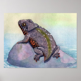 Triadobatrachus Print Poster