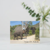 Triangle d'Or, Thailand Postkarte (Stehend Vorderseite)