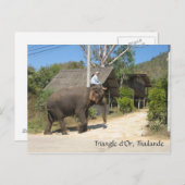 Triangle d'Or, Thailand Postkarte (Vorne/Hinten)