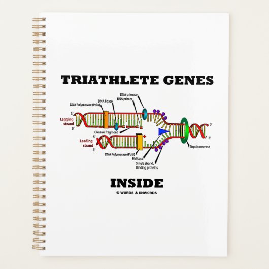 Triathleete Gene in der DNA-Replikation Planer (Vorderseite)