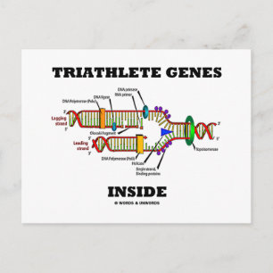 Triathlete Genes Inside (DNA-Replikation) Postkarte
