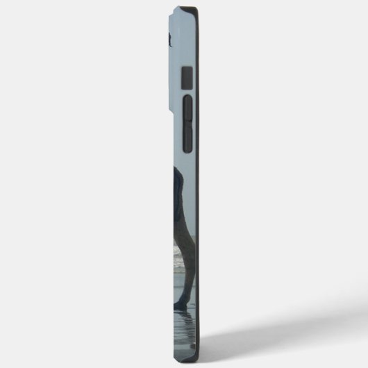 Tribal Camel Ride: Morgengrauen mit Sandstrand und Case-Mate iPhone Hülle (Rückseite / Links)