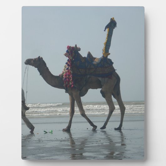 Tribal Camel Ride: Morgengrauen mit Sandstrand und Fotoplatte (Vorderseite)