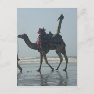Tribal Camel Ride: Morgengrauen mit Sandstrand und Postkarte