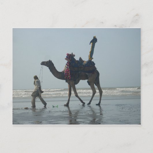 Tribal Camel Ride: Morgengrauen mit Sandstrand und Postkarte (Vorderseite)