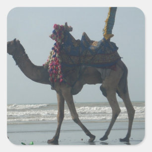 Tribal Camel Ride: Morgengrauen mit Sandstrand und Quadratischer Aufkleber