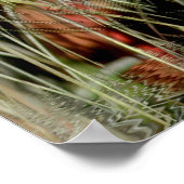 Tribal Medicinal Poster (Ecke)