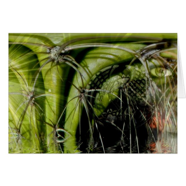 Tribal Medicine Card (Vorderseite (Horizontal))