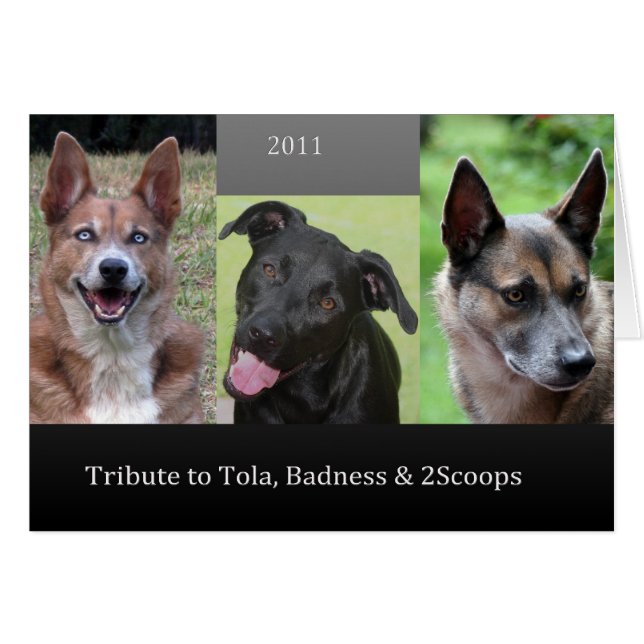 Tribut (Vorderseite (Horizontal))