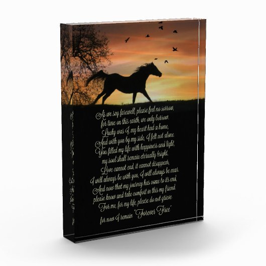 Tribut an Pferde Fotoblock (Links)