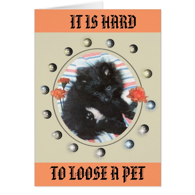 TRIBUT ZU MEINEM MINDY (Vorne)