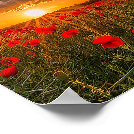 Tribute Spitfire Poster (Ecke)