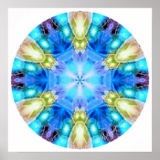 "Tribute to Chihuly" Mandala Poster/ Print Poster (Vorne)