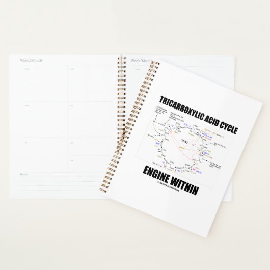 Tricarbonsäurezyklus-Motor innerhalb des Krebs-Zyk Planer (Anzeige)