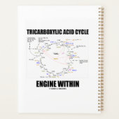 Tricarbonsäurezyklus-Motor innerhalb des Krebs-Zyk Planer (Rückseite)