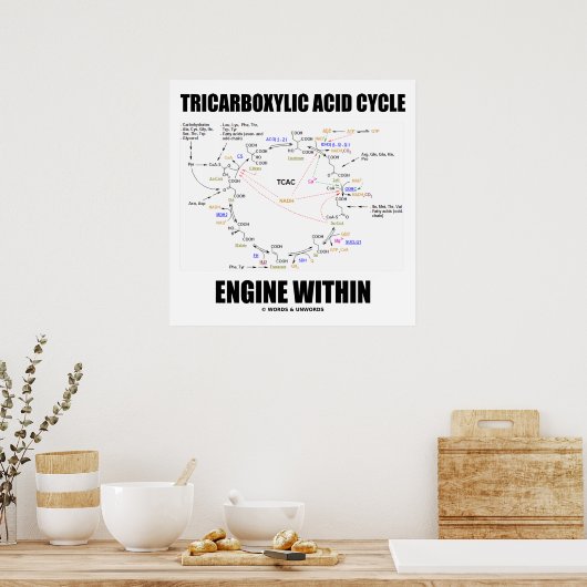 Tricarbonsäurezyklus-Motor innerhalb des Krebs-Zyk Poster (Küche)