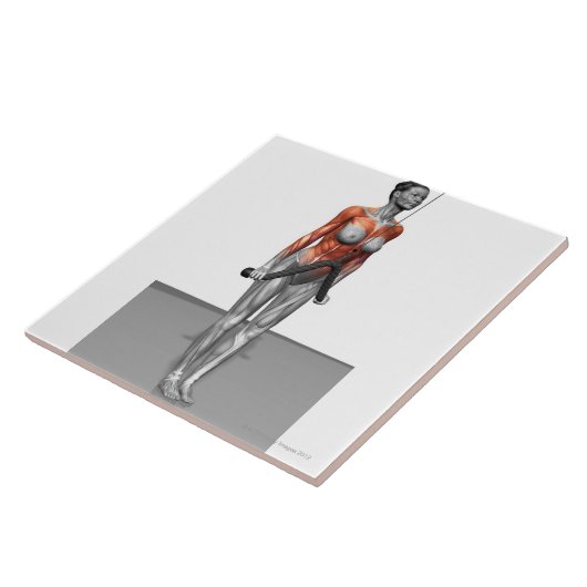 Triceps drücken Abstiege Fliese (Seite)