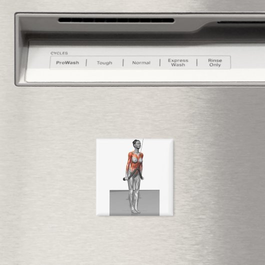 Triceps Push Down Magnet (In Situ (Geschirrspüler))