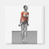 Triceps Push Down Magnet (Vorne)