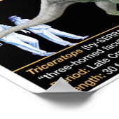 Triceratops - Biology Jurassic Poster (Ecke)