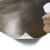 Triceratops Dinosaur Fotodruck (Ecke)