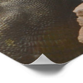 Triceratops Dinosaur Poster (Ecke)