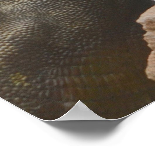 Triceratops Dinosaur Poster (Ecke)