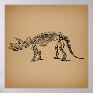 Triceratops Dinosaur Skeleton Prähistorische Kunst Poster