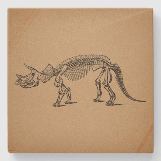 Triceratops Dinosaur Skeletts Steinuntersetzer (Vorderseite)