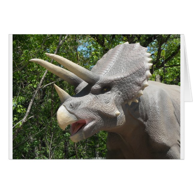 Triceratops dinosaurier (Vorderseite (Horizontal))
