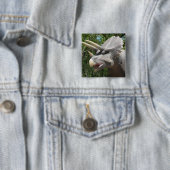 Triceratops Dinosaurier Button (Beispiel)