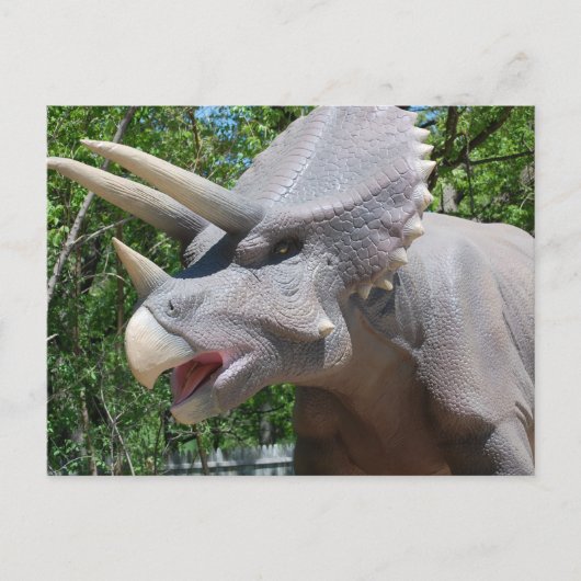 Triceratops/Dinosaurier Postkarte (Vorderseite)