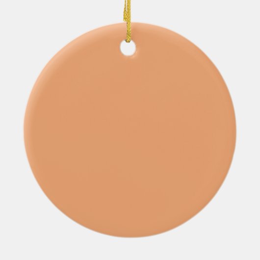 Triceratops Keramik Ornament (Hinten)