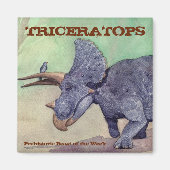 Triceratops Magnet (Vorne)
